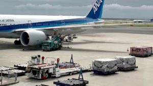 photo avion sur l’aéroport du Tokyo Miki Cour de japonais